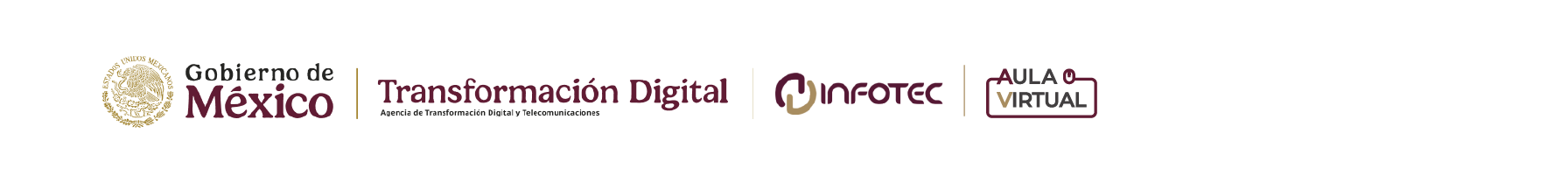 AulaVirtual
